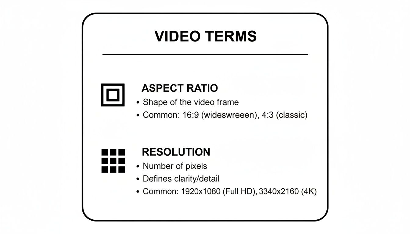 how-to-change-video-dimensions-video-terms.jpg