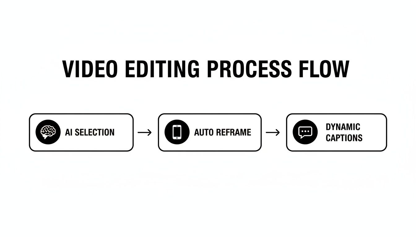 social-media-video-editor-video-workflow.jpg