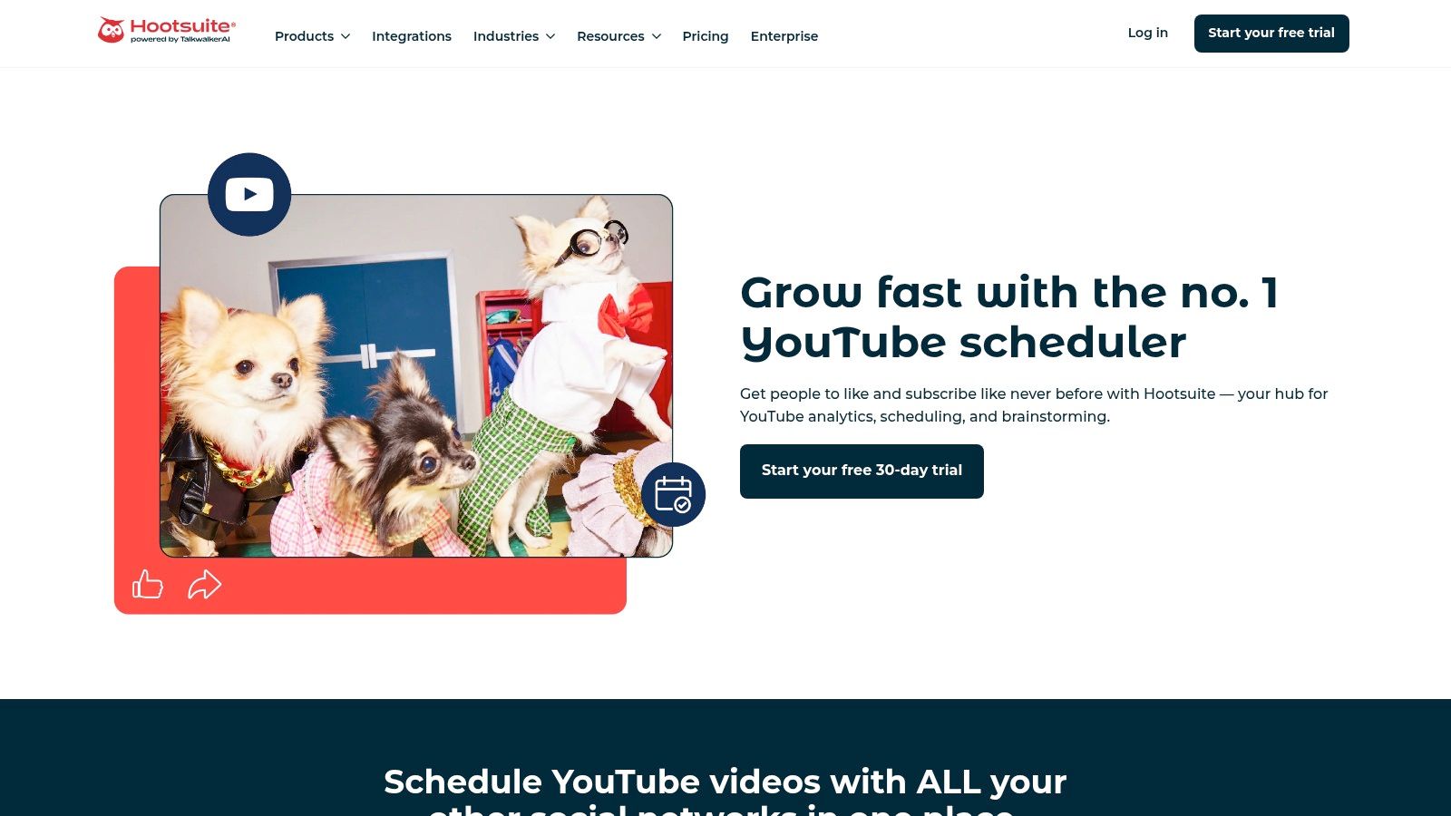 youtube-upload-software-chihuahua-dogs.jpg