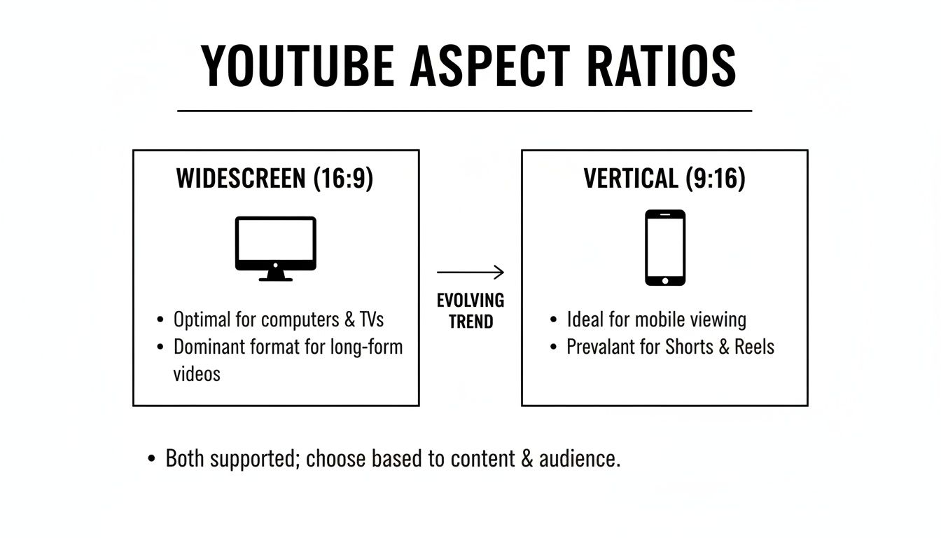 youtube-video-size-ratio-aspect-ratios.jpg
